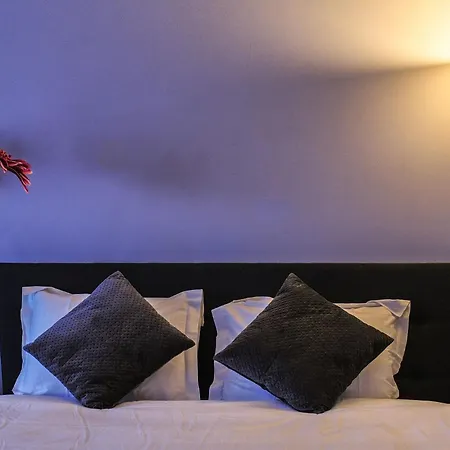 Apartment Comfort Trendy